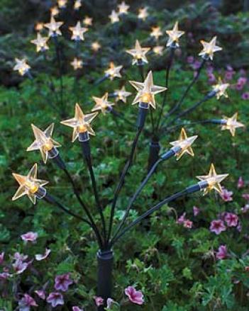 Starlight Bouquet