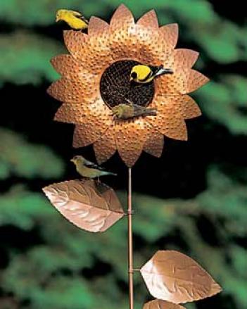 Sunflower Feeder