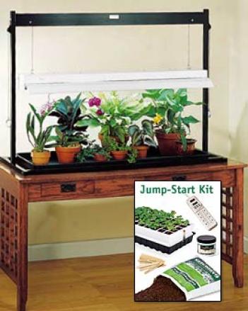 Sunlite® Tabletop Garden With Jup Start Kit