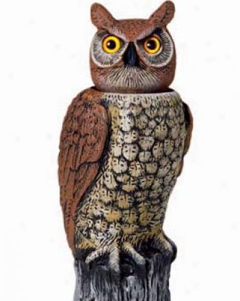 Swiveling-head Horned Owl