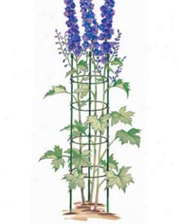 Tall Plant Supports, Set Of 3
