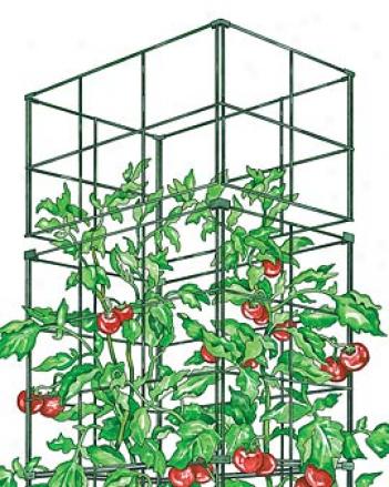 Tomato Cage Extension