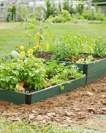 Two-tier Raised Bed
