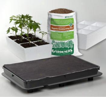 Vegetable Starter Success Kit