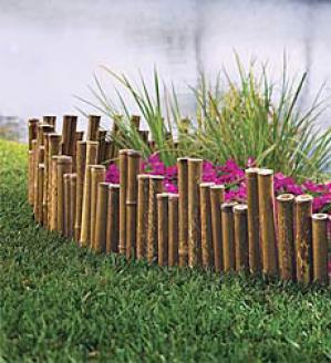 Bamboo Fringe