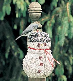 Gift-wrapped Birdseed Snowman