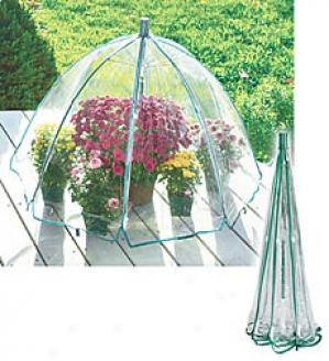 Greenhouse Umbrella