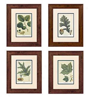 Leaf Prints, Set Of 4