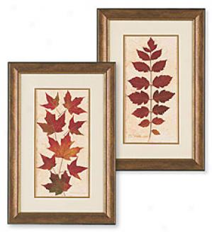 maple-leaf-print.jpg