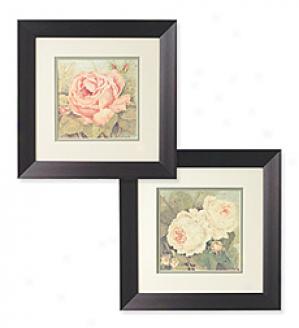 Rose Prints