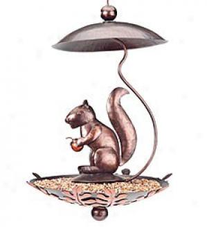 Squirrel Birdfeeder