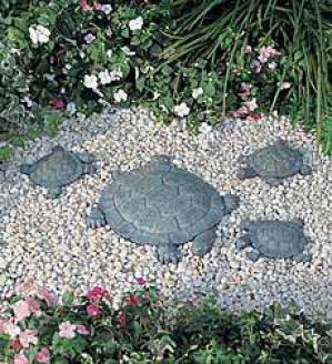 Turtle Family