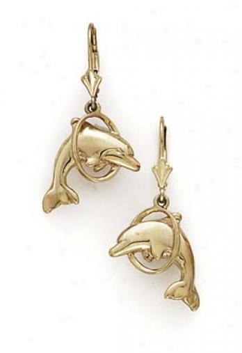 14k Leverback Dolphin In Bind Earrings