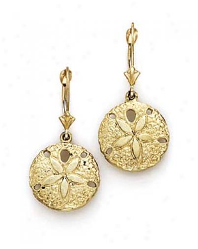 14k Leverback Sanddollar Earrings