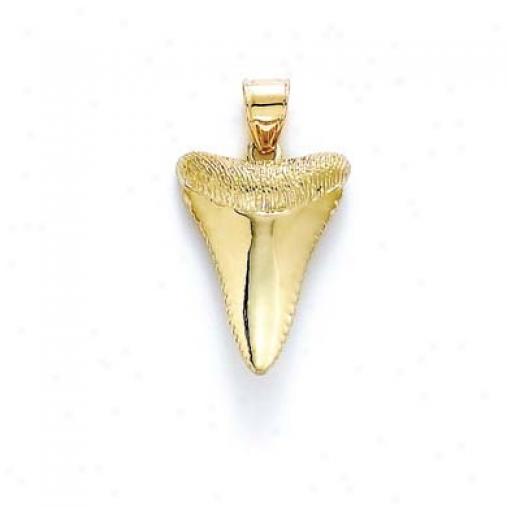14k Polished Shark Tooth Pendant