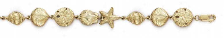14k Starfish Shell Sanddollar Bracelet - 7.25 Inch