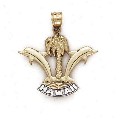 14k Two-tone Hawaii Pendant