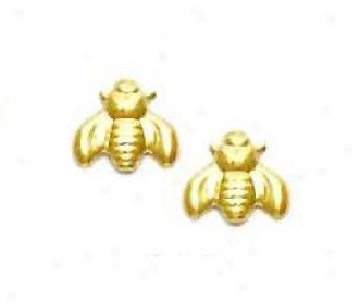14k Yellow Moth Friction-back Earrings