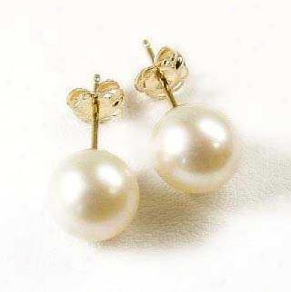 7.0 - 7.5 Mm Freshwater Cultured Pearl Studs