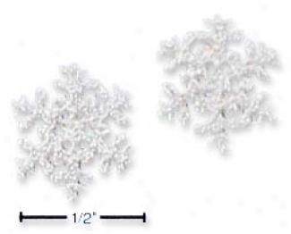Sterling Silver Frosted Snowflake Stigmatize  Earrings