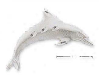 Sterling Silver Satin/dc Dolphin Charm