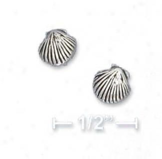 Sterling Silver Shell Post Earrings