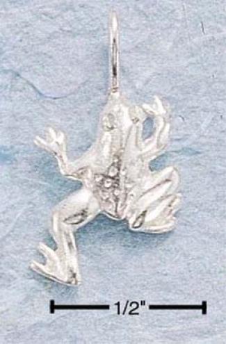 Sterling Silver Small Dc Frog Charm