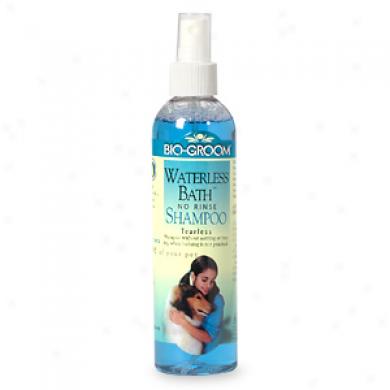 Bio-groom Waterless Bath, No Wash Shampoo In quest of Dogs And Cats