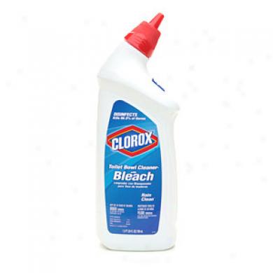 Clorox Manual Toilet Goblet Cleaner With Bleach, Rain Ckean Scent
