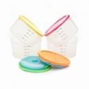 Fit & Fres Smart Portion 1 C. Chill Container Set